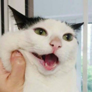 她的梦里没有我