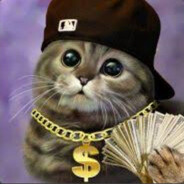котик с баблом
