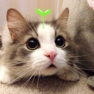 ICAC廉政公署-阿冷