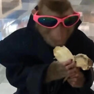 60thHnv_Maj_Zhixiang