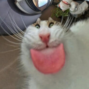 Б.Ю.Александров