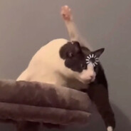 和女生说话会脸红