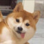 上山打老虎