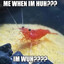 liek