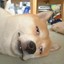 爷青回