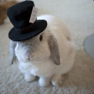 打得好不如排得好