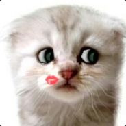 菩提一夜又春风