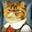 a Phat Cat