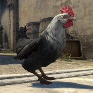 Poulet Brisé