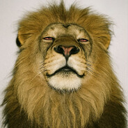 ☠Lion☠