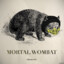 Mortal-Wombat&#039;s doto profo