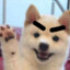 重庆大学硕士李翔宇