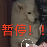 哒咩哦~哒咩哒咩