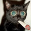 Gangsta Stoner Cat