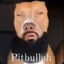Pitbullah