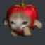 Apple cat is High