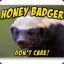 Honey Badger