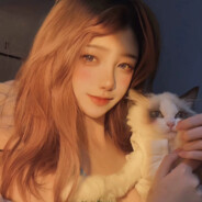 能不能给我一张补签卡