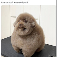 бог мне судья