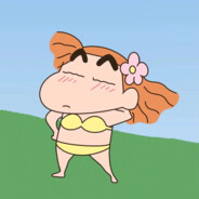 钻钻米是只大肥猫