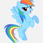 Pony