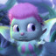 Draiserr