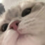 不信
