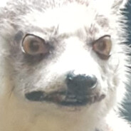 JackProperLikesAnimals