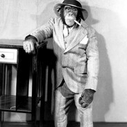 𓆰AL COPONE 𓆰𓆪