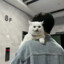 我不吃牛肉丶