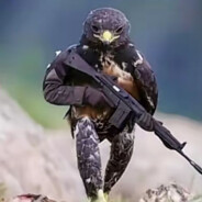 在看我一眼就会爆炸