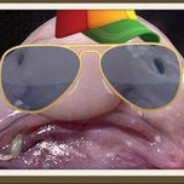 Blobfish_Kid