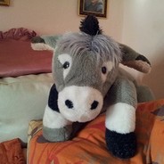 Esel Schnesel - steam id 76561197966673953