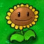 Sunflower from Pvz