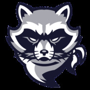 Procyon Lotor Vratislaviens