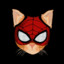 spider cat