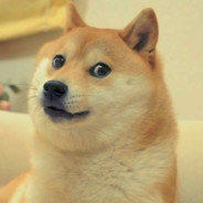 Doge
