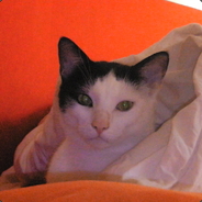 -๖ۣۜGeи.Gђo๖tۣ̲ۜ(GER)