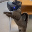 vr