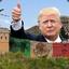 Great Wall Of Trump