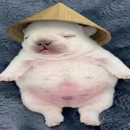 MOI
