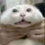 hey (with rizz)
