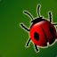 theladybug