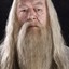 Gandalf The Grey