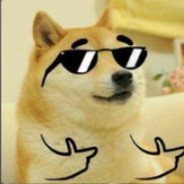 电弧星电晕了，醒来腰子没了