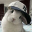 Avatar of Bunny
