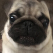 t2ll