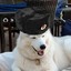 Soviet_doggo