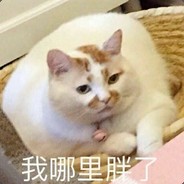 不迷茫的龙先生