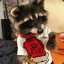 Sergun9I_vac